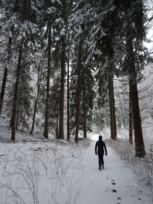 breve passeggiata tra la neve fresca di oggi.....